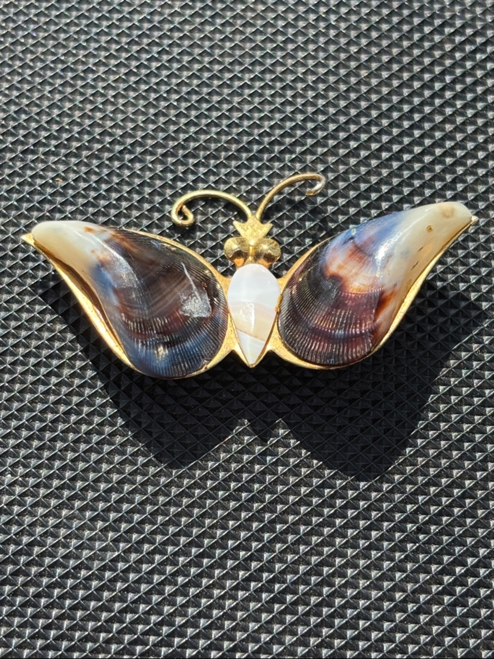 Vintage Shell Butterfly Ribbed Shell Butterfly Brooch with Gold-Tone Frame